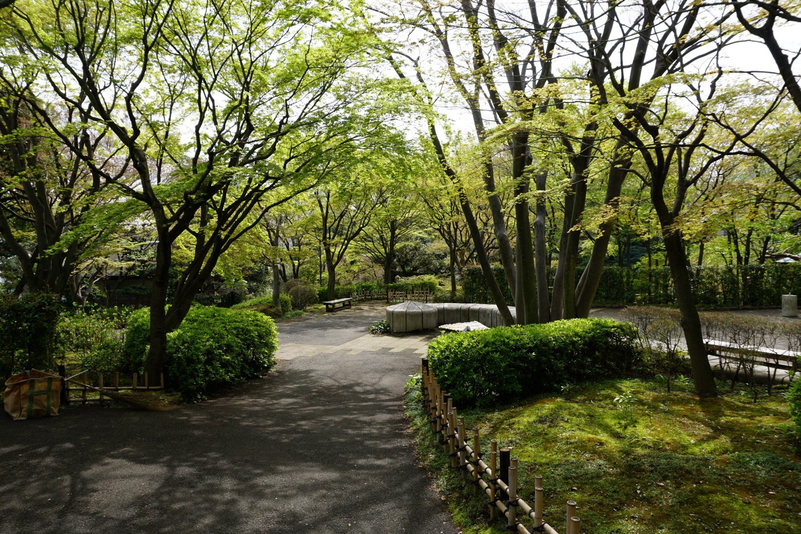 🏞️ 이케다야마 공원 이미지 1